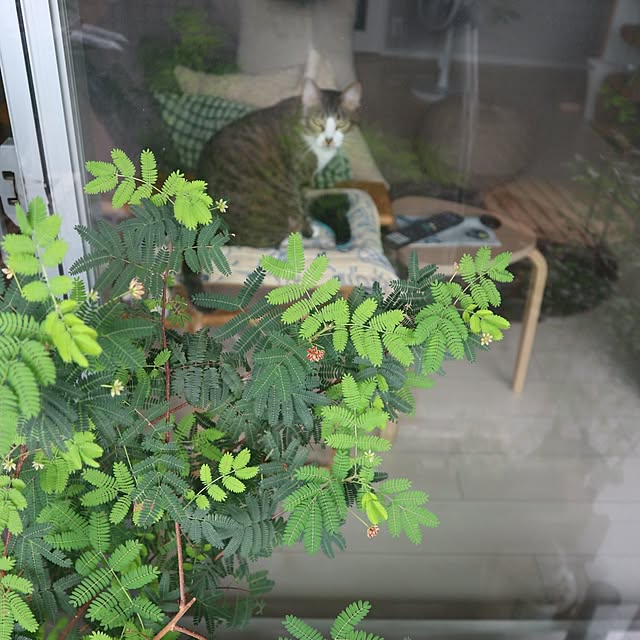 hanacocoさんの部屋