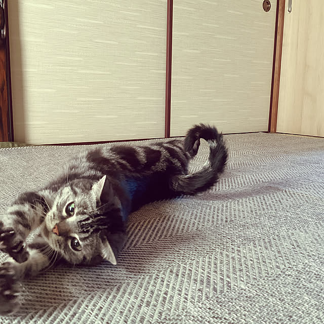 richanさんの部屋