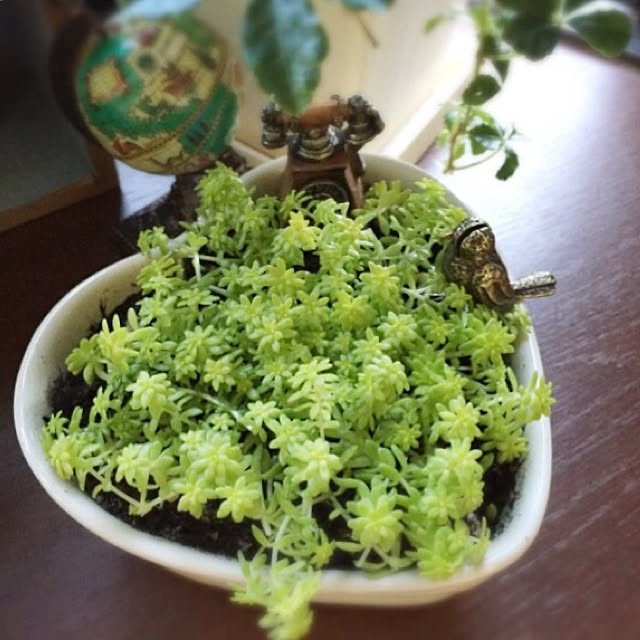 hiroさんの実例写真
