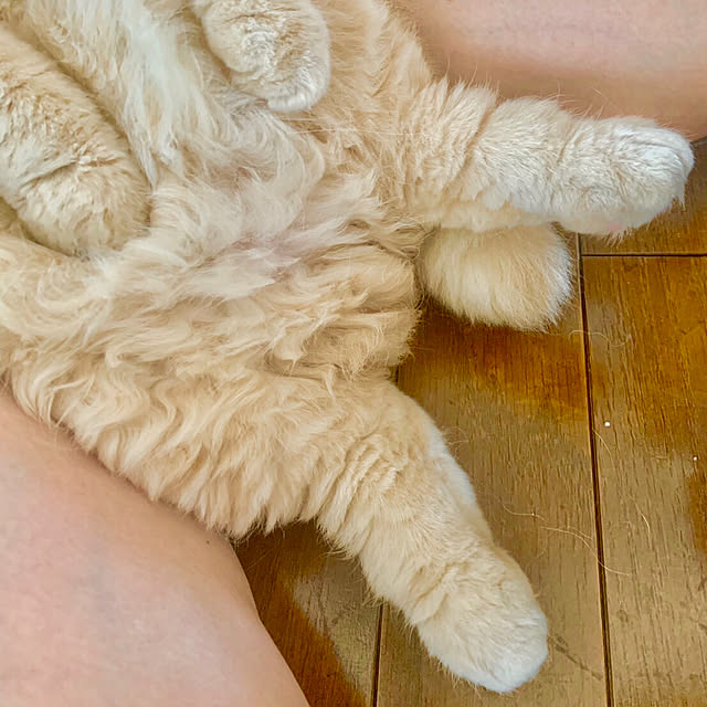 naokoさんの実例写真