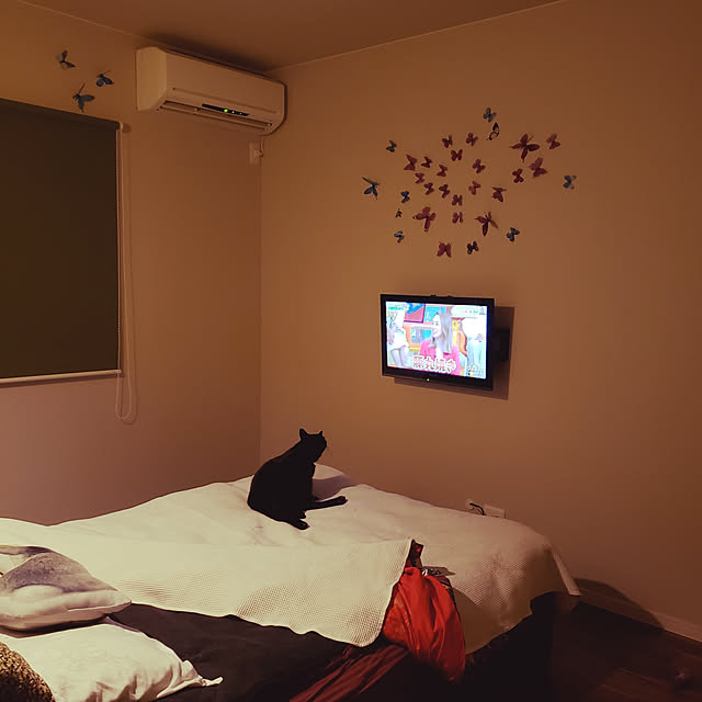 zenoさんの実例写真