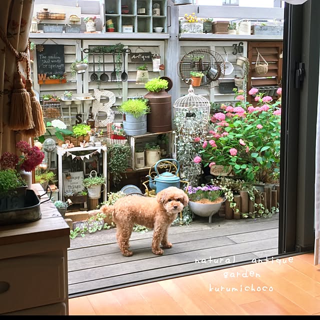 kurumichocoさんの実例写真