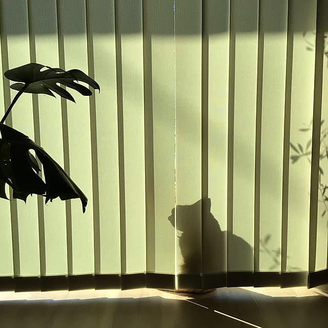 houenさんの実例写真