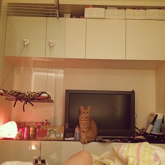 Jeannyさんの実例写真