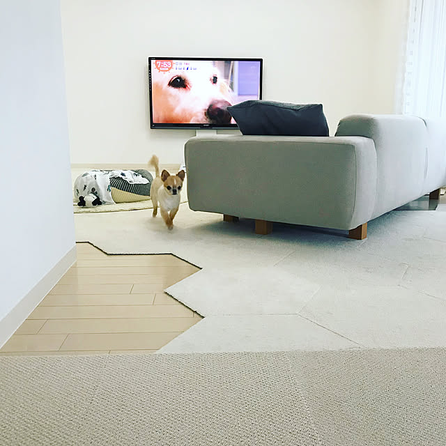 haruhinaさんの実例写真