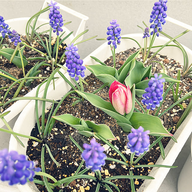 823smileさんの部屋