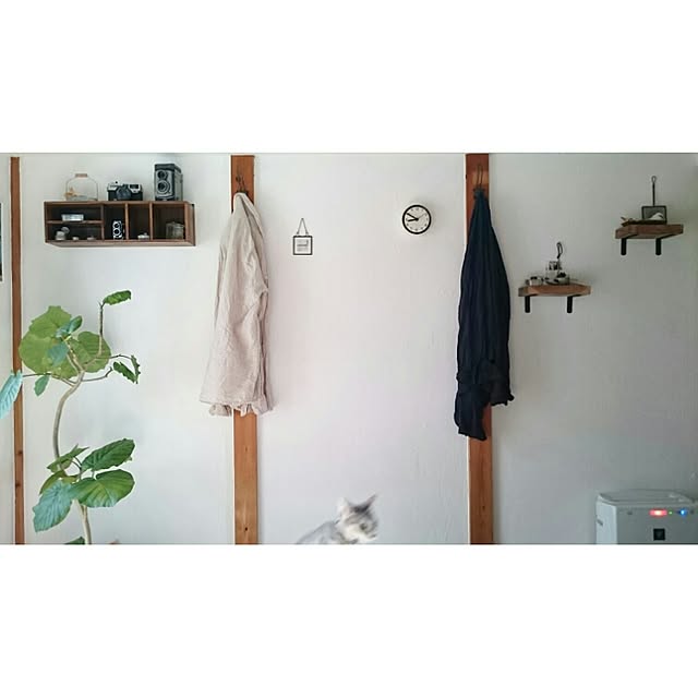 kicoriさんの実例写真