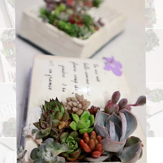 glassflowerさんの実例写真