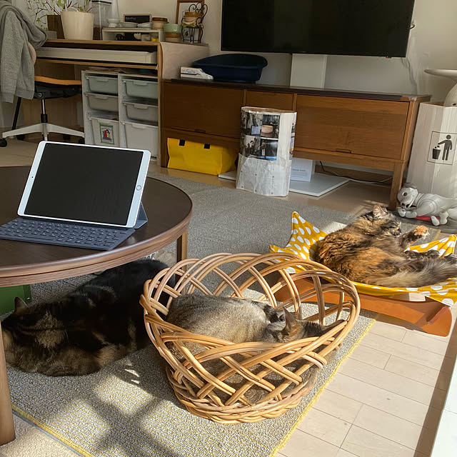 mikomaruさんの実例写真