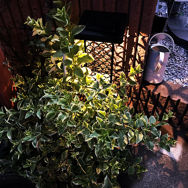 CoffeeHouseさんの実例写真