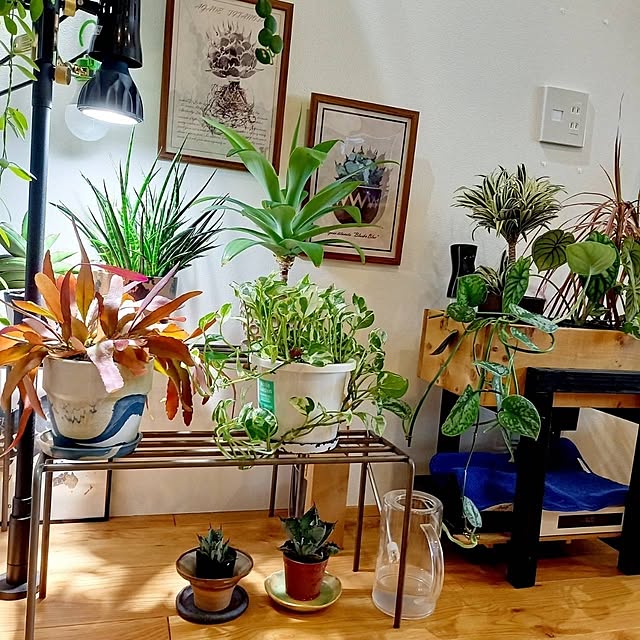 Rさんの部屋