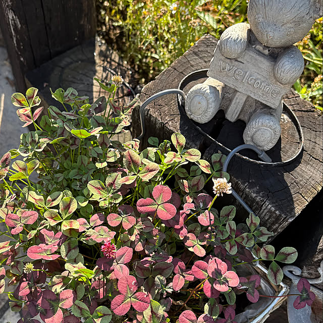 akさんの部屋