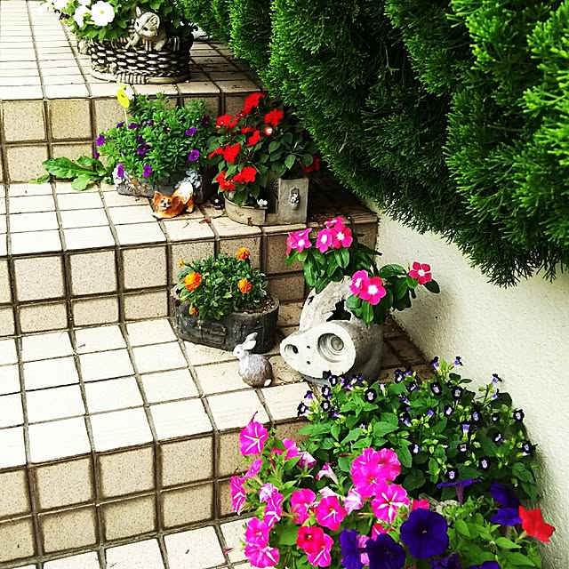 実例写真
