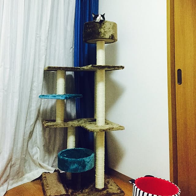 shiiiさんの実例写真