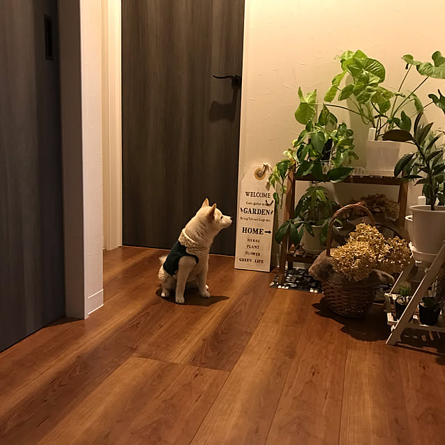 Nicoleさんの実例写真
