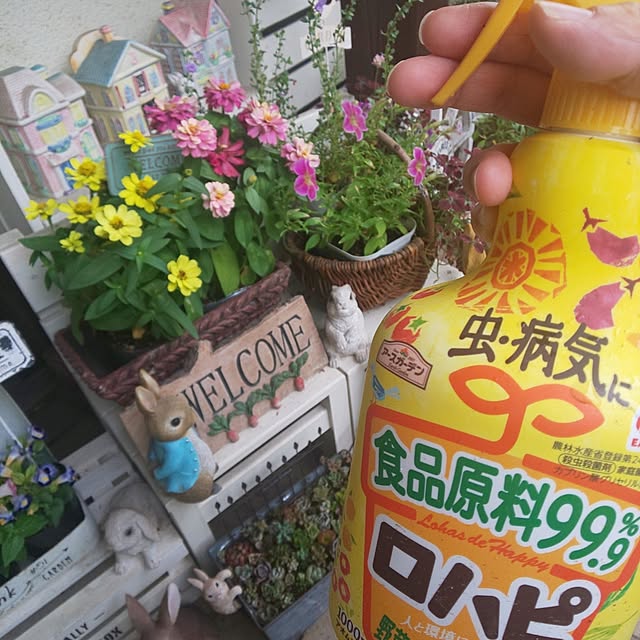 seiko44さんの部屋