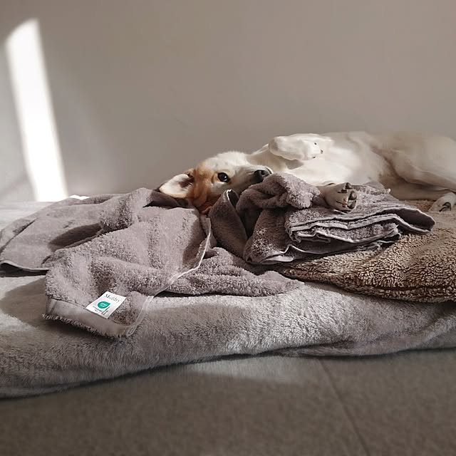 Mi-koさんの部屋