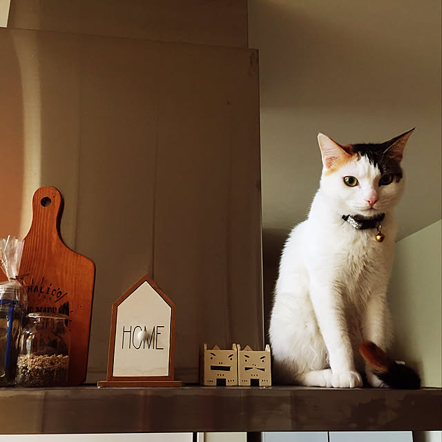 Kuronecoさんの実例写真