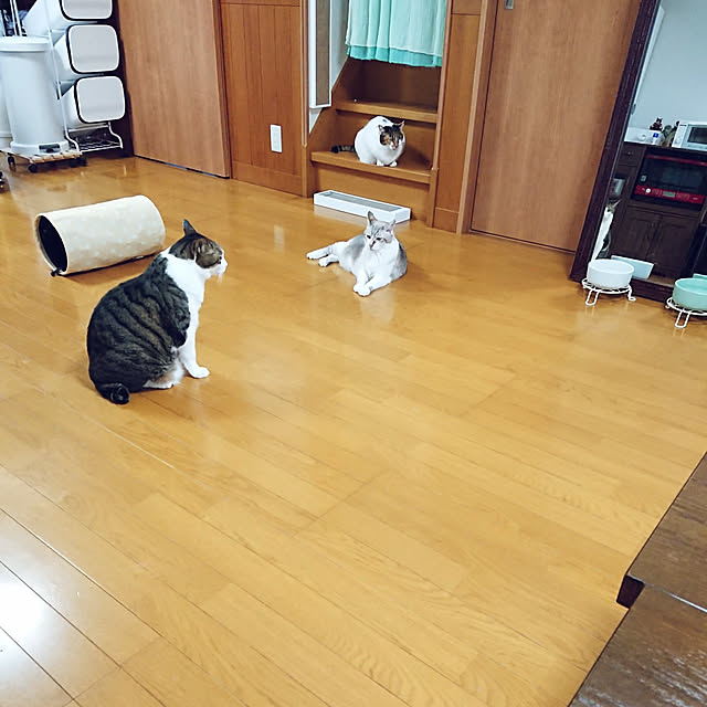 nachiさんの実例写真