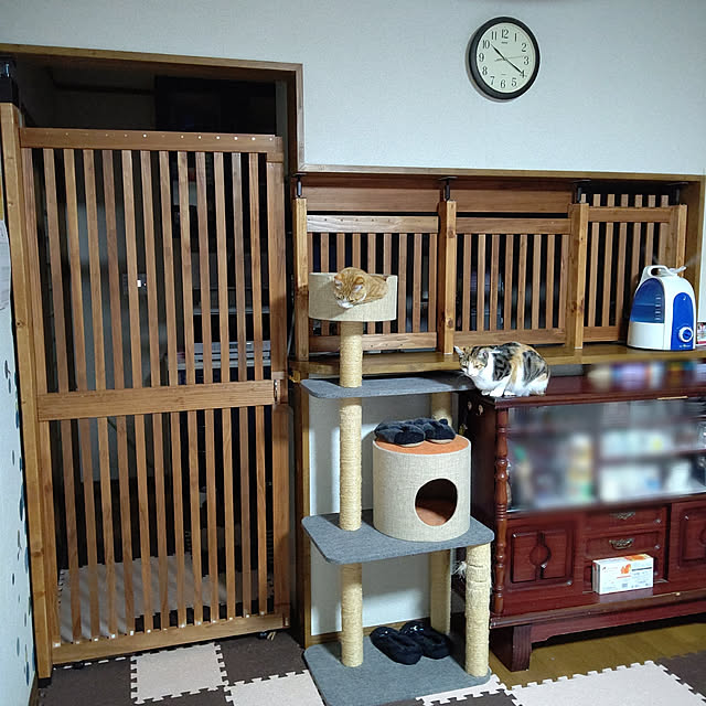 キッチン/猫侵入防止扉/DIY/2×4/ねこと暮らす...などのインテリア実例 - 2020-02-02 22:49:33