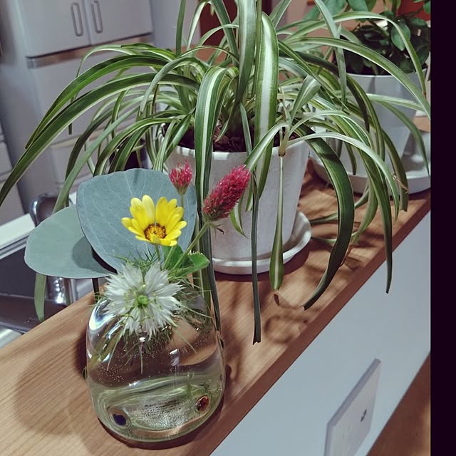 yamakawaさんの実例写真