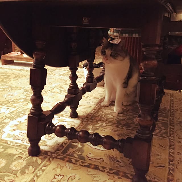 emmyyさんの実例写真