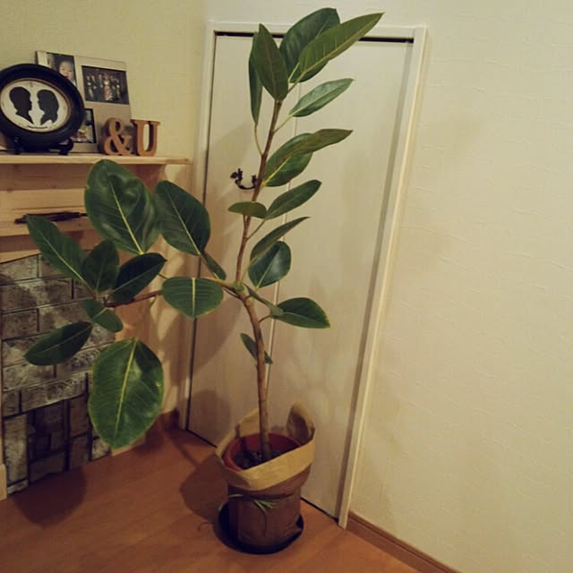 amisukeさんの実例写真
