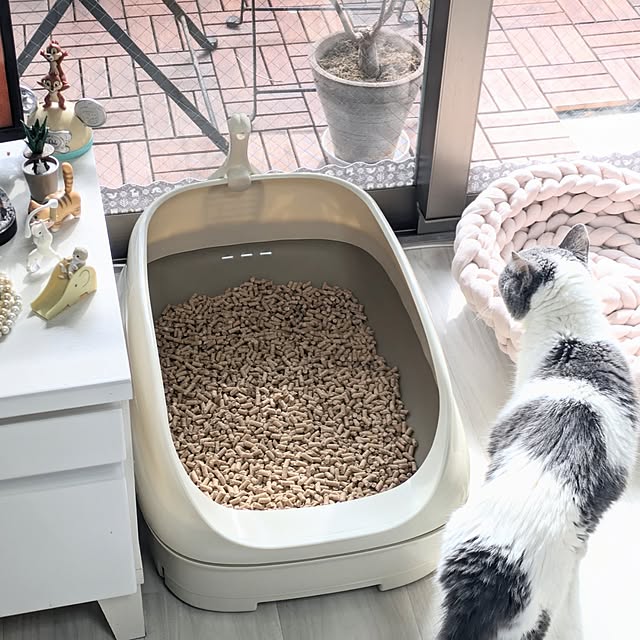 Manamiさんの実例写真