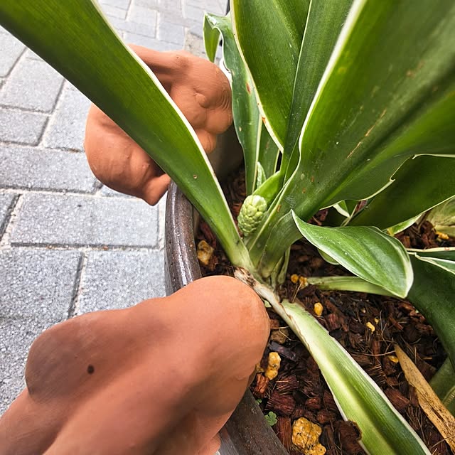 Rubiconさんの部屋