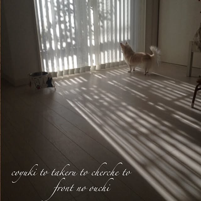 coyukiさんの実例写真