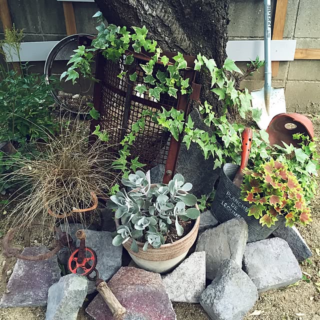 bibianさんの実例写真