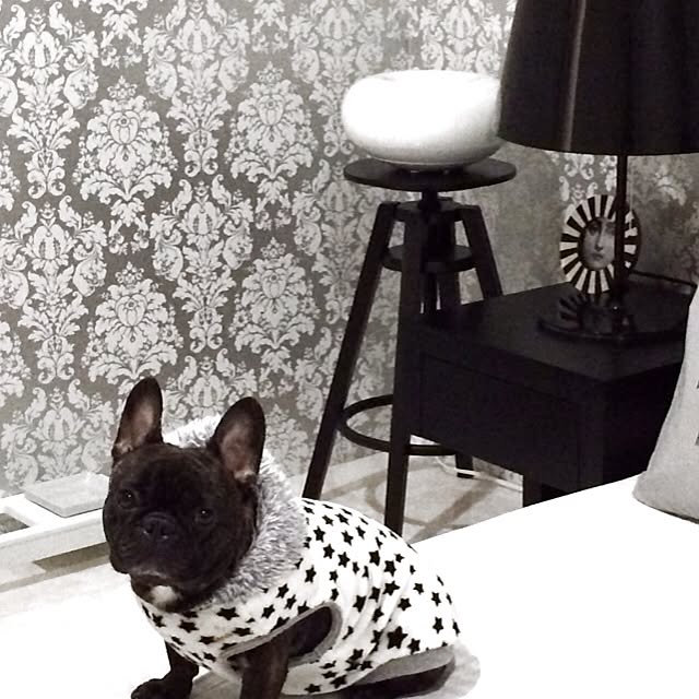 monosisさんの実例写真