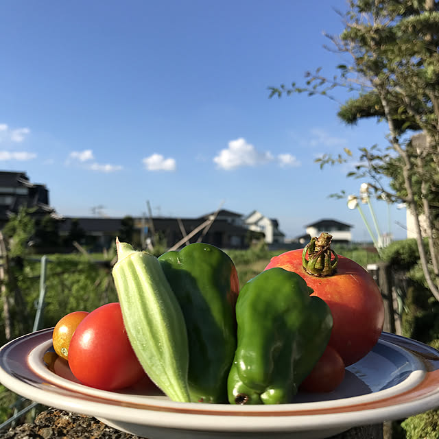 miyamiyaさんの実例写真