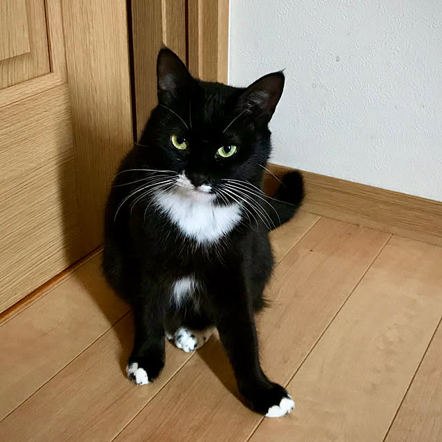 butachanさんの実例写真