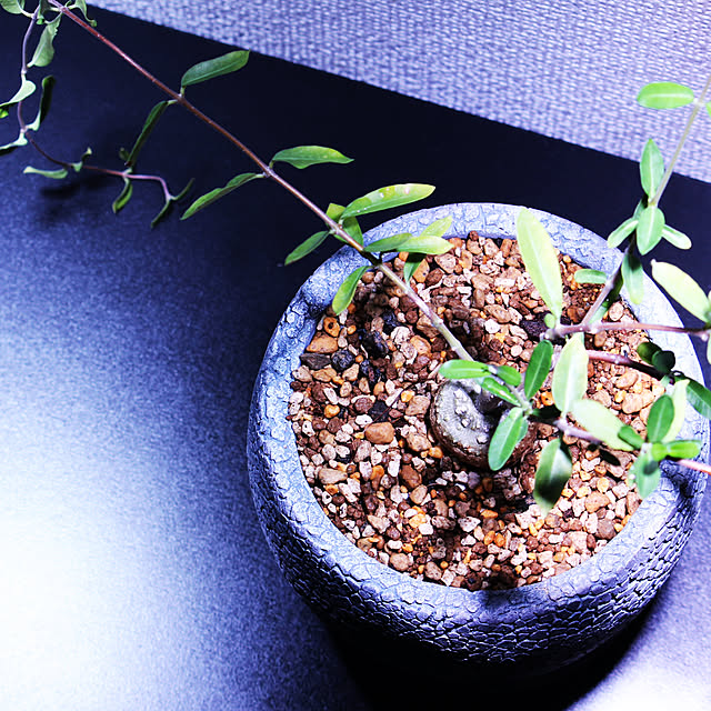 Yusukeさんの実例写真