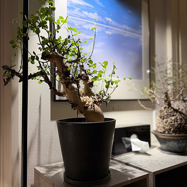 nuruiさんの部屋