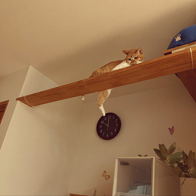 chakuron.iさんの実例写真