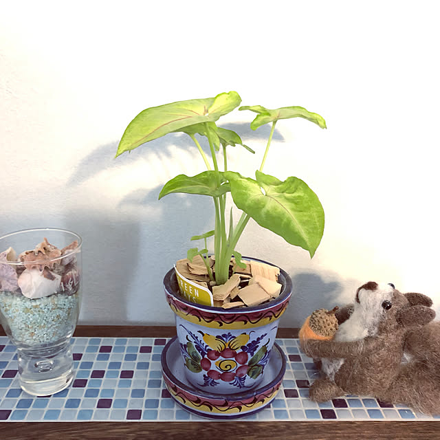 kidoさんの実例写真