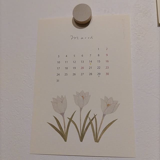 sakiさんの部屋