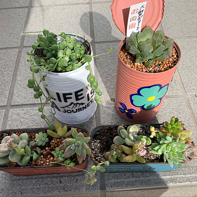 Fumiさんの実例写真