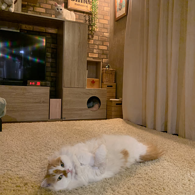 keiさんの部屋