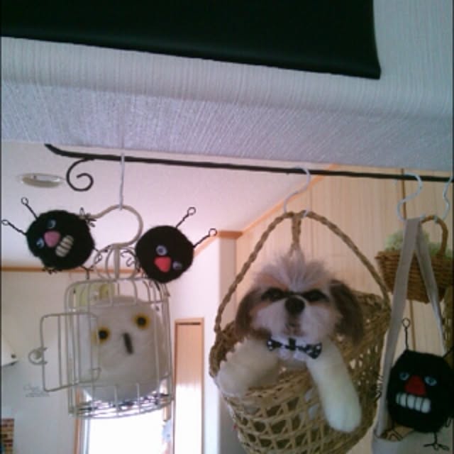 kotaさんの実例写真