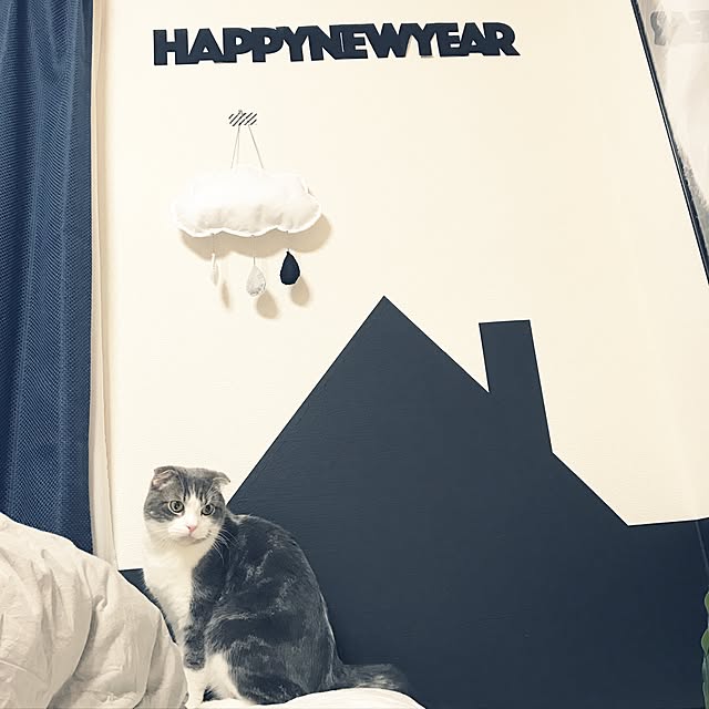 tansukeさんの実例写真