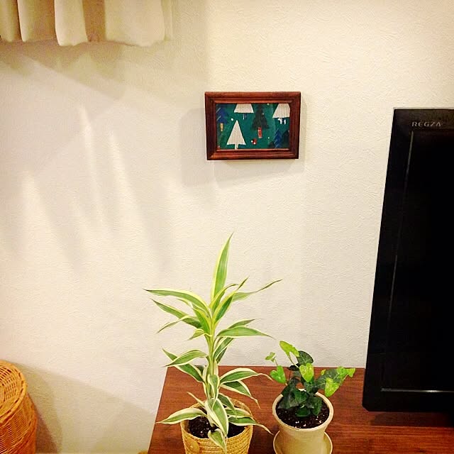 Hanaさんの実例写真