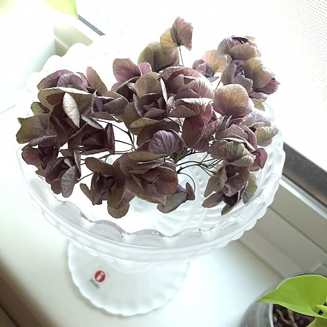 maykoさんの実例写真