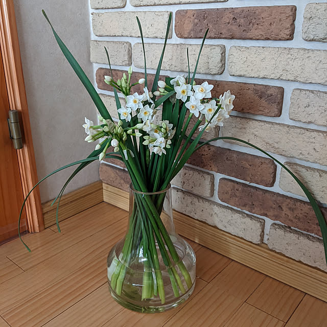 kouheiyuto24623takaさんの実例写真