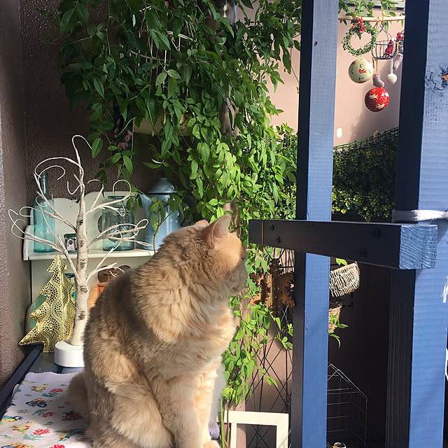 naokoさんの部屋