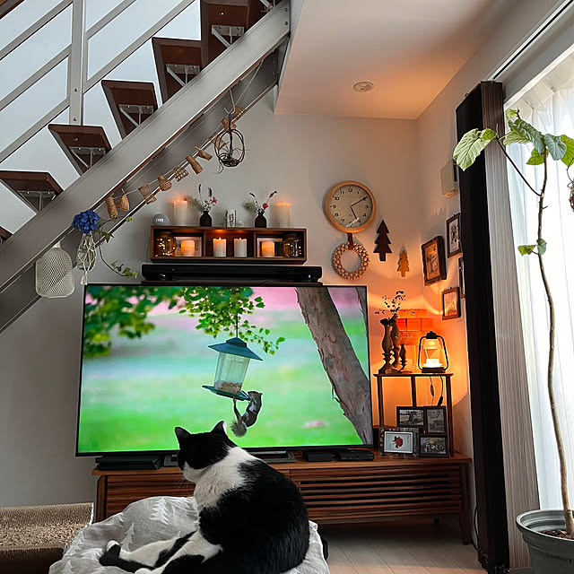 kojimasaさんの部屋