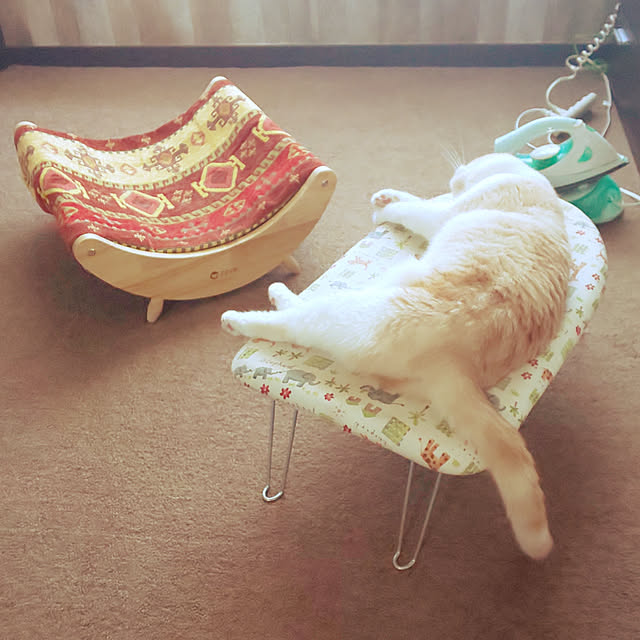 kobakissaさんの実例写真