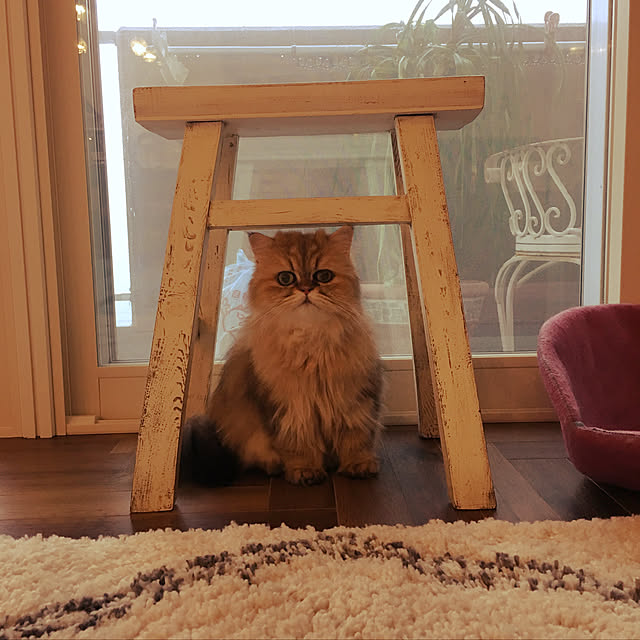 enonさんの実例写真